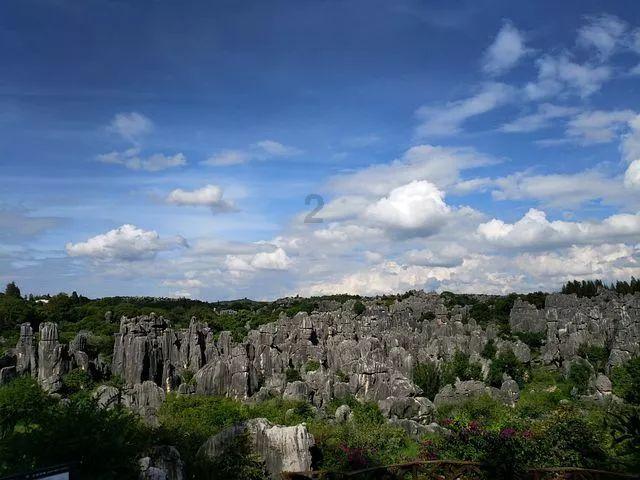 虫虫助手下载