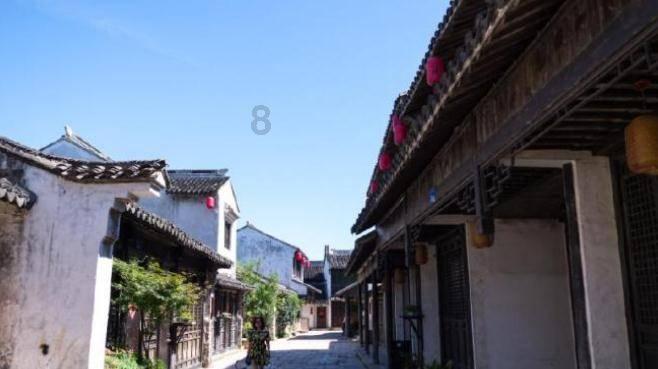 植物大战僵尸：花园战争